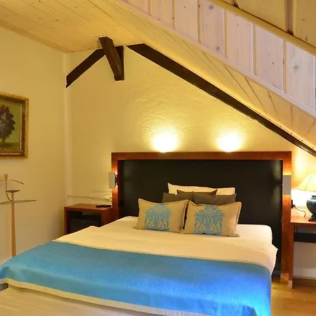 Modry Jelen Guest house Lipno nad Vltavou