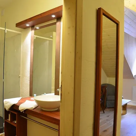 Modry Jelen 4* Lipno nad Vltavou