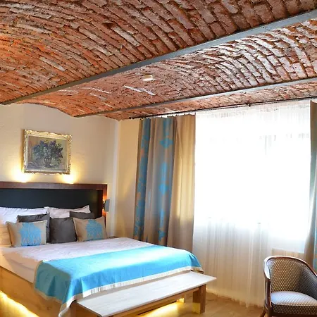 Guest house Modry Jelen 4*