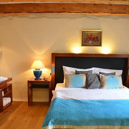 Guest house Modry Jelen Lipno nad Vltavou