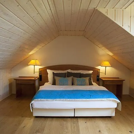Pensionat Modry Jelen 4*