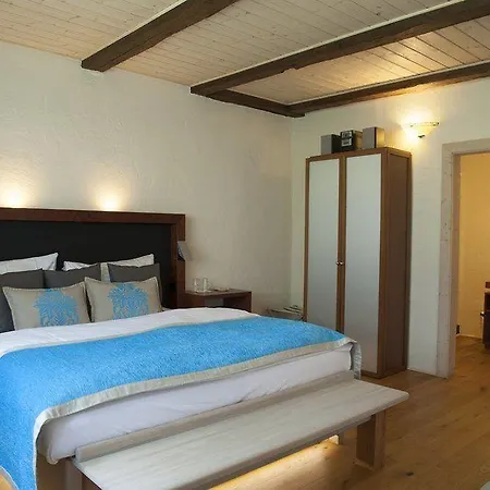 Modry Jelen Guest house