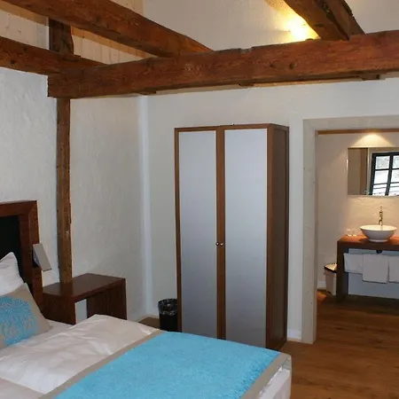Guest house Modry Jelen 4*