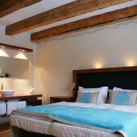 Guest house Modry Jelen Lipno nad Vltavou