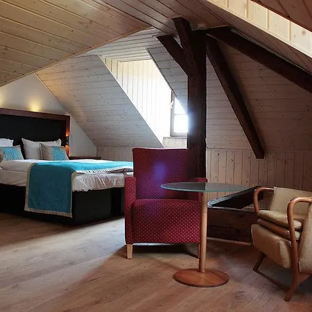 Modry Jelen 4* Lipno nad Vltavou