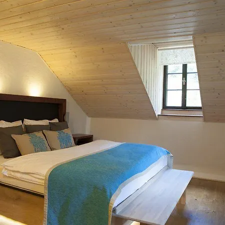 Pensionat Modry Jelen 4*