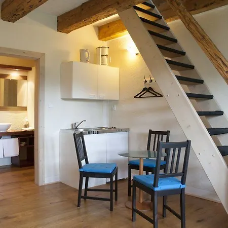 Guest house Modry Jelen 4*