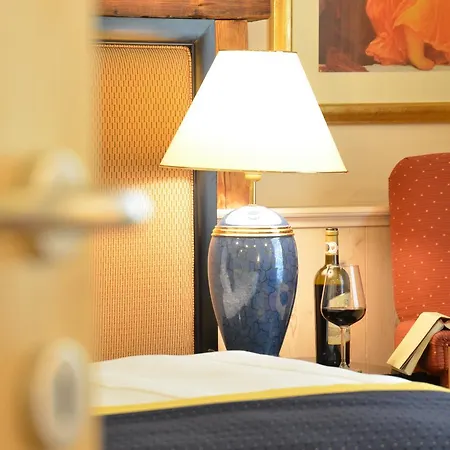 Guest house Modry Jelen 4*