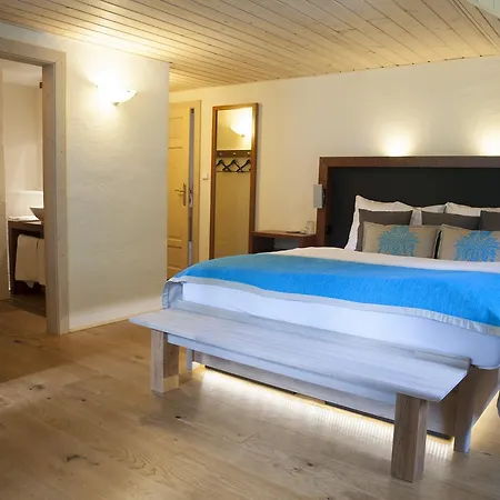 Guest house Modry Jelen